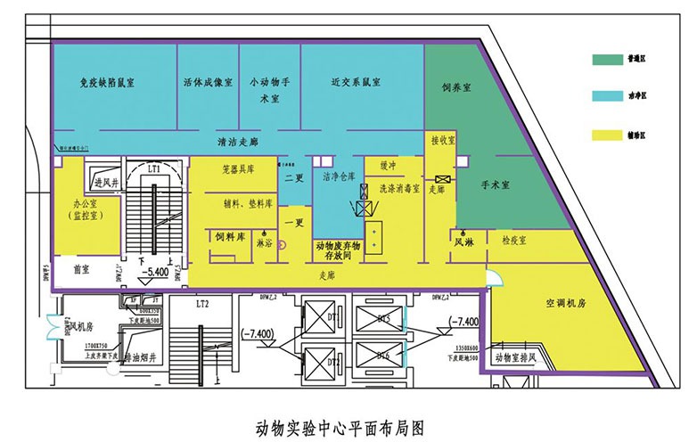 動(dòng)物實(shí)驗(yàn)室設(shè)計(jì)布局圖